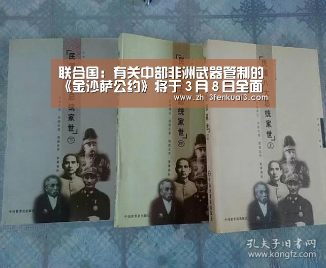 联合国:有关中部非洲武器管制的《金沙萨公约》将于3月8日全面生效【3分快3】(图1) 3分快3