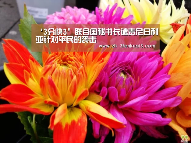 ‘3分快3’联合国秘书长谴责尼日利亚针对平民的袭击(图1) 3分快3