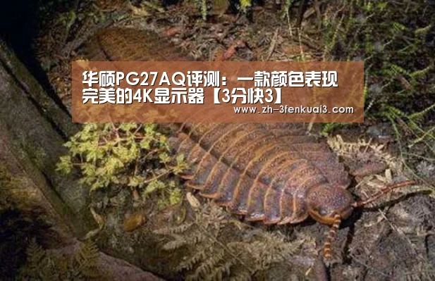 华硕PG27AQ评测:一款颜色表现完美的4K显示器【3分快3】(图1) 3分快3