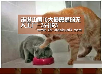 走进中国10大最震撼的无人工厂-3分快3(图4) 3分快3