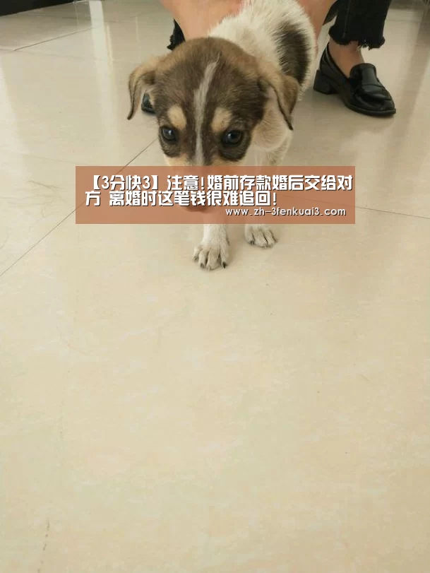 3分快3