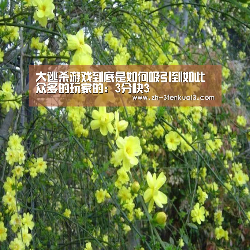 大逃杀游戏到底是如何吸引到如此众多的玩家的:3分快3(图1) 3分快3